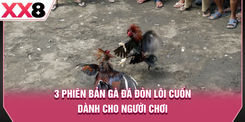 3 phiên bản gà đá đòn lôi cuốn dành cho người chơi