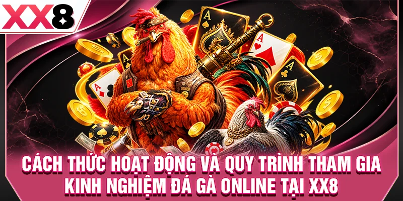 Cách thức hoạt động và quy trình tham gia kinh nghiệm đá gà online tại XX8