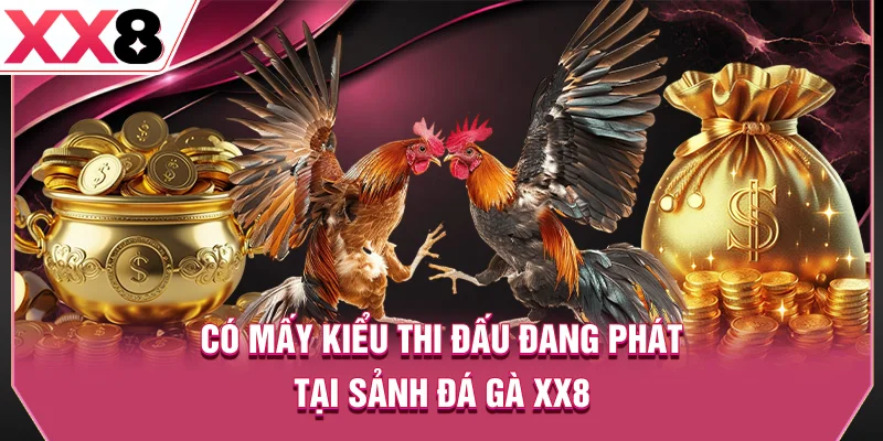 Có mấy kiểu thi đấu đang phát tại sảnh đá gà XX8