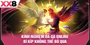 Kinh Nghiệm Đá Gà Online - Bí Kíp Đặt Cược Không Thể Bỏ Qua