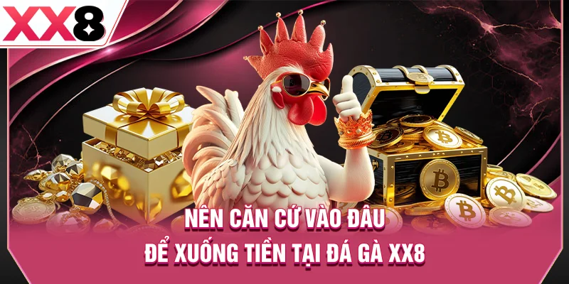 Nên căn cứ vào đâu để xuống tiền tại đá gà XX8