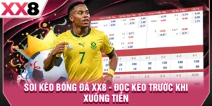 Soi Kèo Bóng Đá XX8 - Đọc Kèo Trước Khi Xuống Tiền